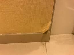 images (14).jpeg