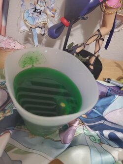 IMG_1294.jpeg