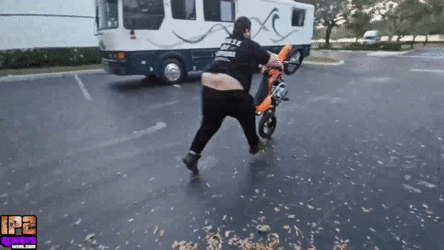 fatg.gif