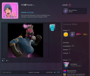 steamprofile.png
