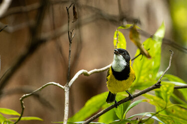 IMG_3169-CR3_DxO_DeepPRIMEXD.jpg