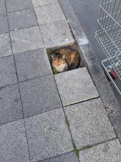 tumblr_ns0qzei1RG1uq9mz9o1_640.jpg