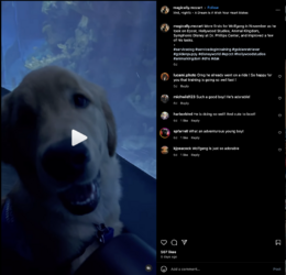 Screenshot 2023-12-13 at 03.40.51.png