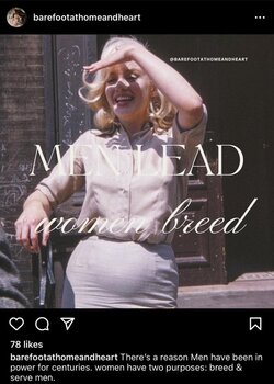 this-is-definitely-a-fetish-account-and-no-one-can-convince-v0-b2787gdi366c1.jpg