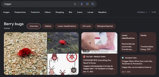 chigger.jpg
