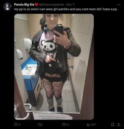 1702610663907.png