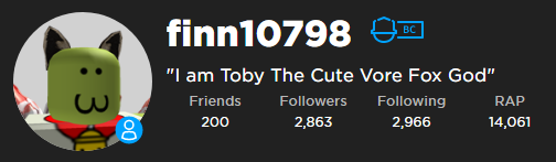 finn blurb.png