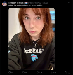31.png