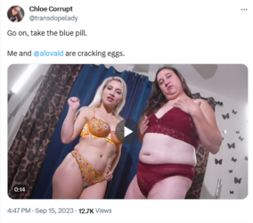 Screenshot 2023-12-16 at 19-09-32 (3) Chloe Corrupt on X Go on take the blue pill. Me and @alo...png