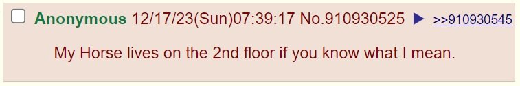 horse1.jpg