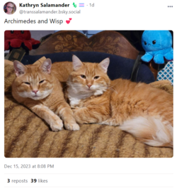 1702811367762.png