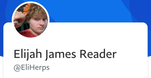 kween of fags.png