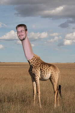 giraffe.jpeg