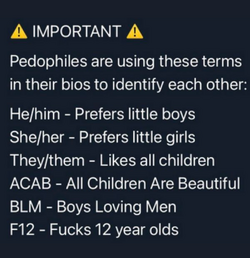 pedophile bios.png