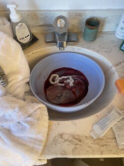 placenta.jpg