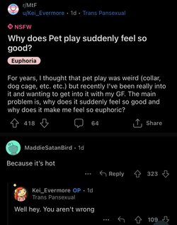 IMG_6774.jpeg