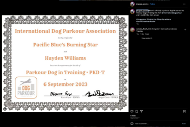 Screenshot 2023-12-01 at 15.19.26.png