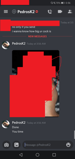peniscensored.png