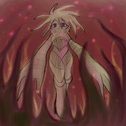 cdcd.png