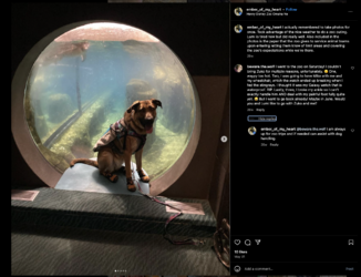 Screenshot 2023-12-01 at 12.24.02.png