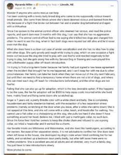 Screenshot 2023-12-11 at 06.16.39.png