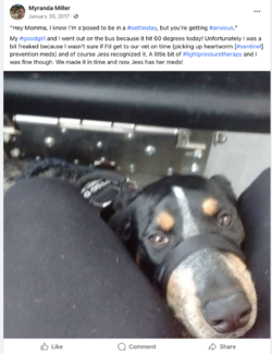 Screenshot 2023-12-11 at 06.41.20.png