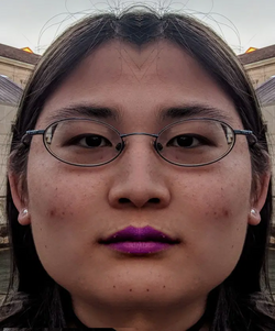 1703102516878.png