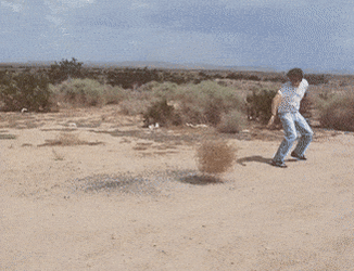 icegif-2786.gif