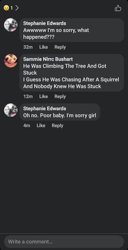 Screenshot_20231221_151523_Facebook.jpg
