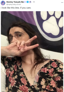 1703206265144.png