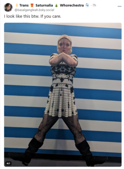 1703206473414.png