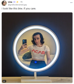 1703206780587.png