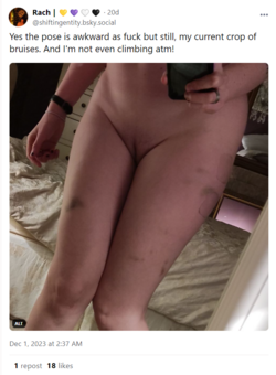 1703208305218.png