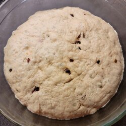 French loaf ball risen.jpg