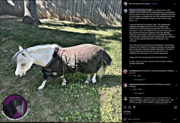 Screenshot 2023-12-01 at 17.19.34.png