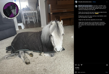 Screenshot 2023-12-20 at 17.48.27.png