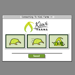 1703287648632.png