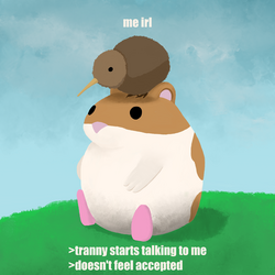 1703295857497.png