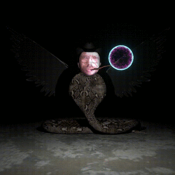 SSPTK.gif