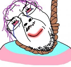 7qz7nt.jpg