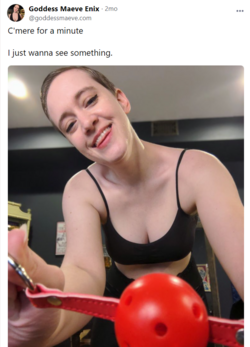1703412607720.png