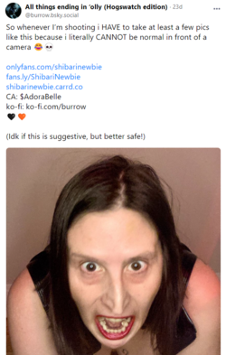 1703413282184.png