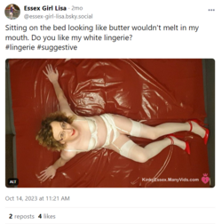 1703415447344.png