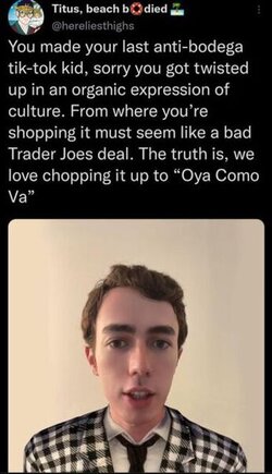 345px-Bodega_Bro_meme_4.jpg