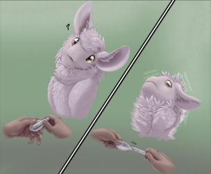 spoonlil.png