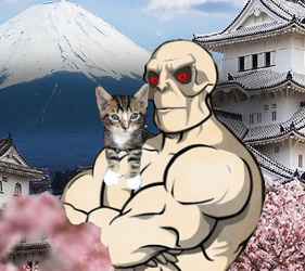 1703729896177.png