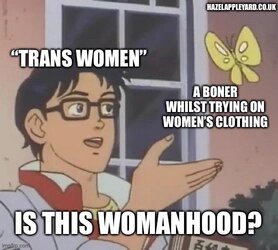 1703744654168.jpeg