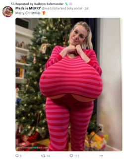 1703752566253.png