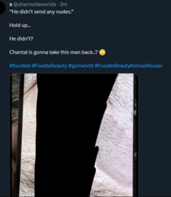 1703811510725.png