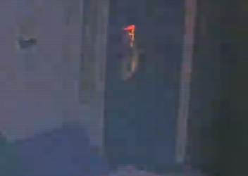 Fishpeek.png